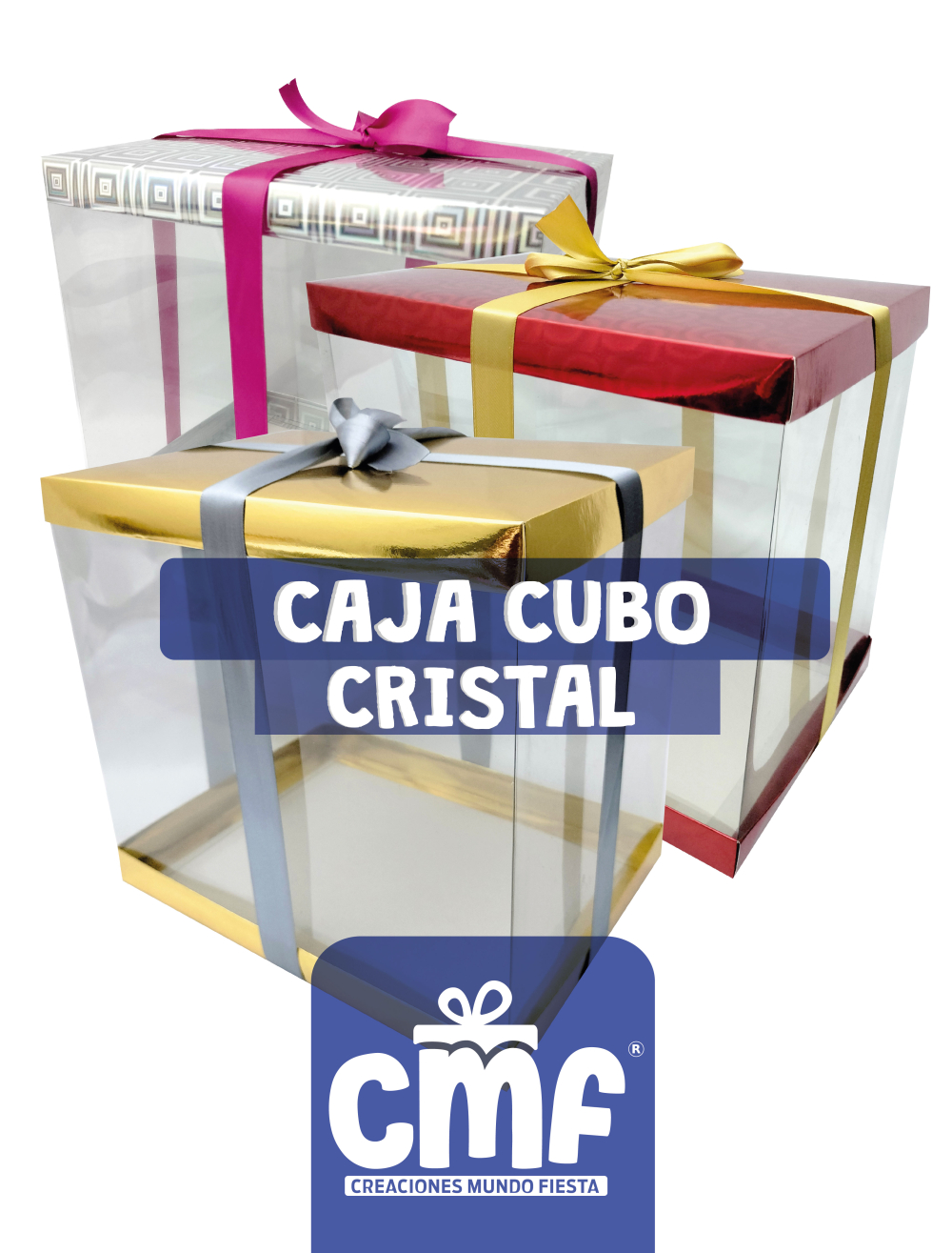 CAJA CUBO CRISTAL GRANDE 28X20X26