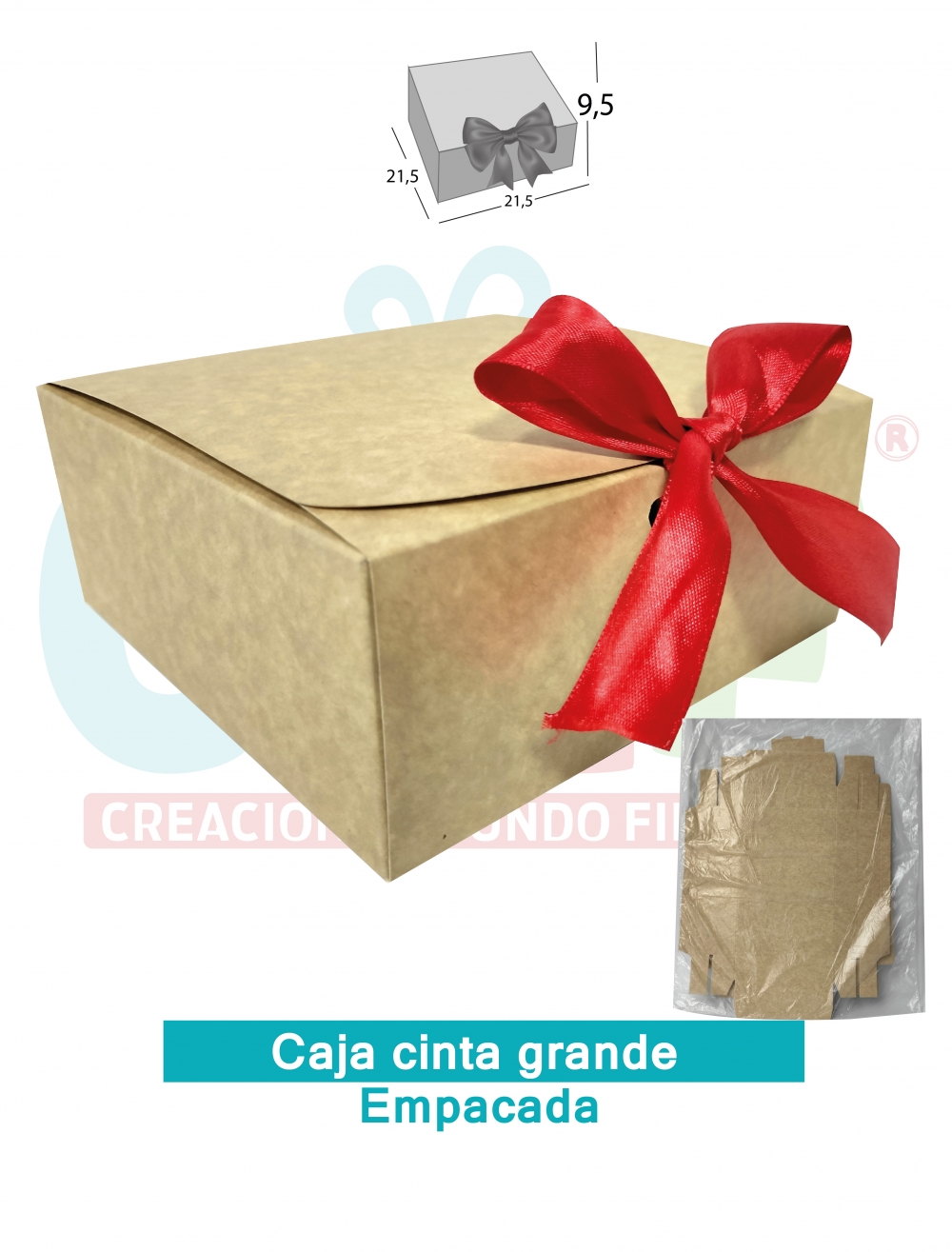 CAJA CINTA GRANDE