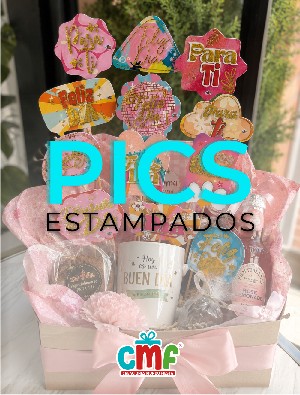  PICS ESTAMPADOS X12