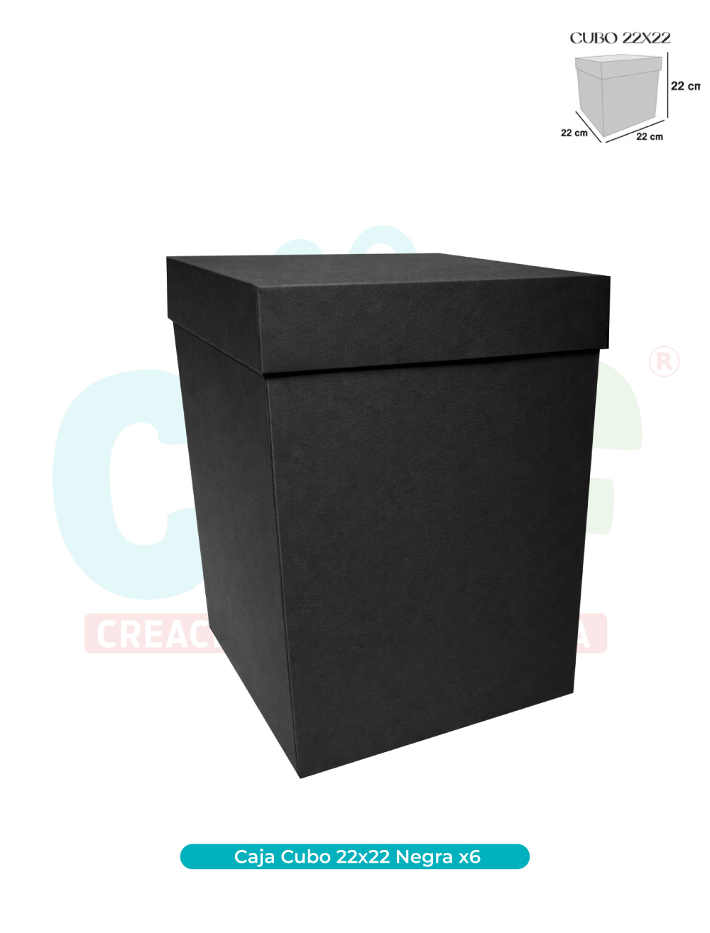 CAJA CUBO 22X22 X6
