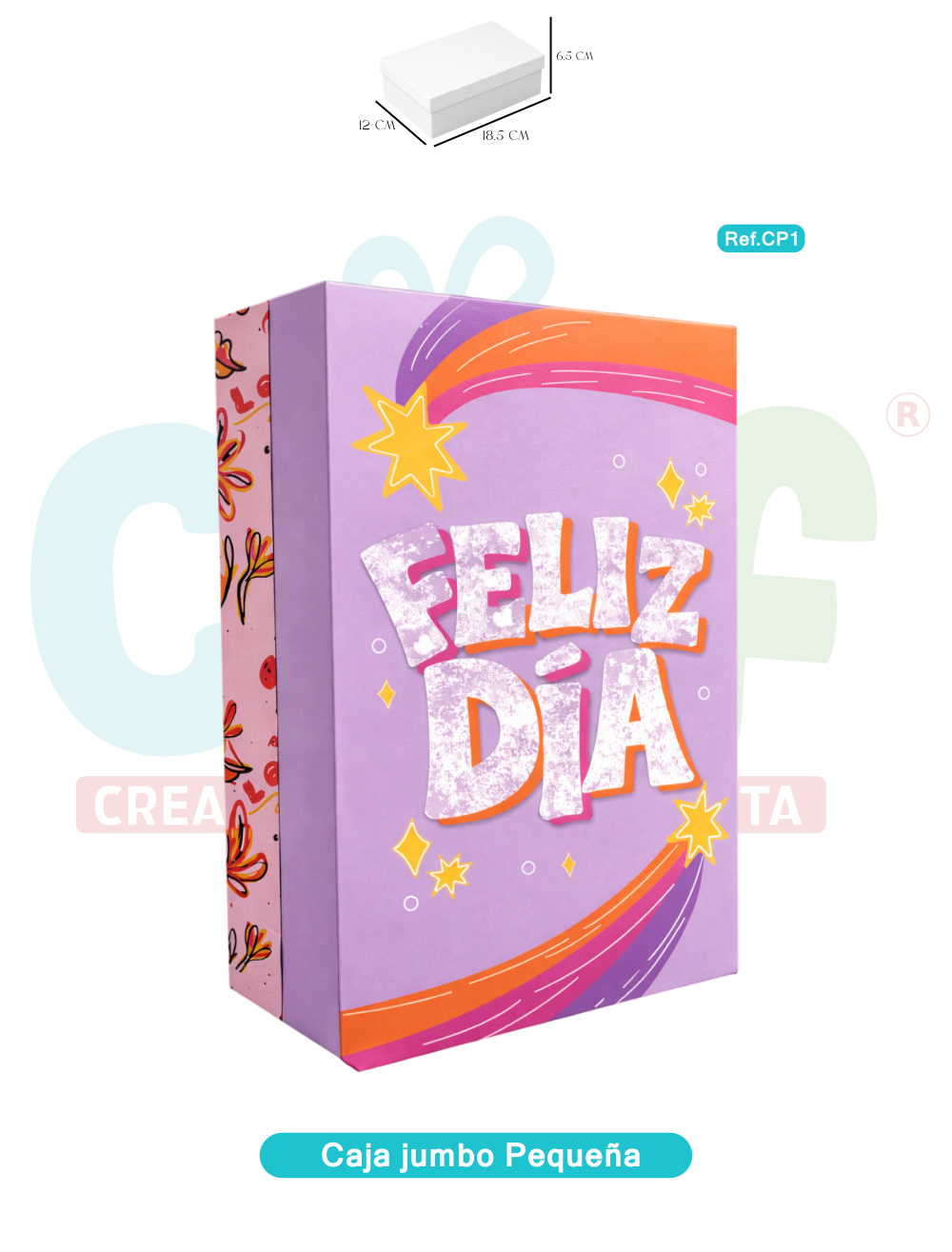 CAJA JUMBO COLOR PEQUEÑA   CP1
