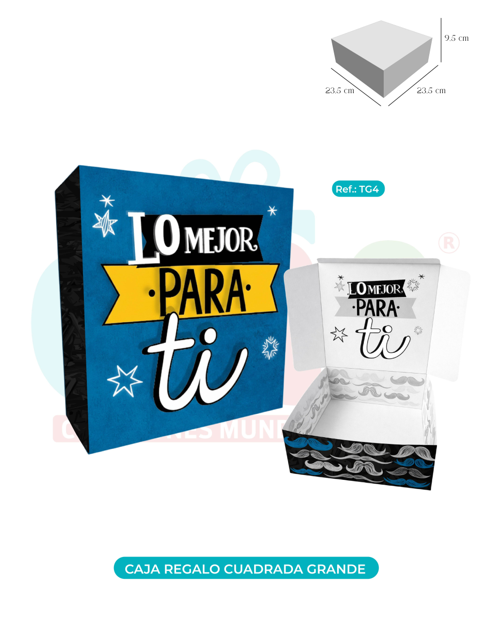  CAJA DE REGALO CUADRADA GRANDE  TG4
