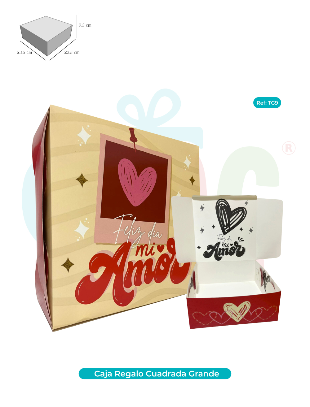  CAJA DE REGALO CUADRADA GRANDE  TG9