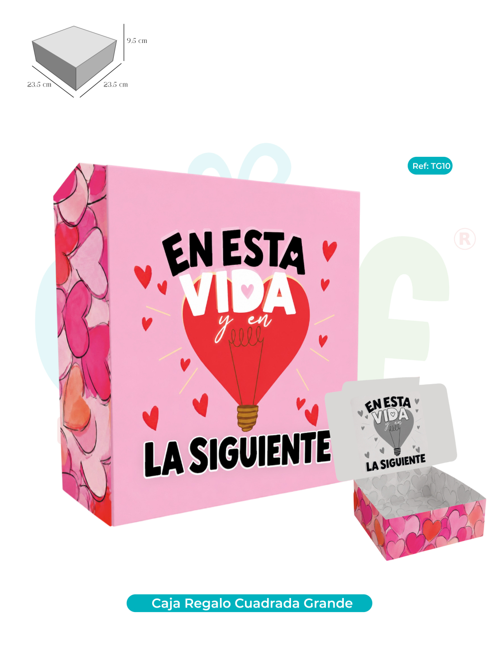  CAJA DE REGALO CUADRADA GRANDE  TG10