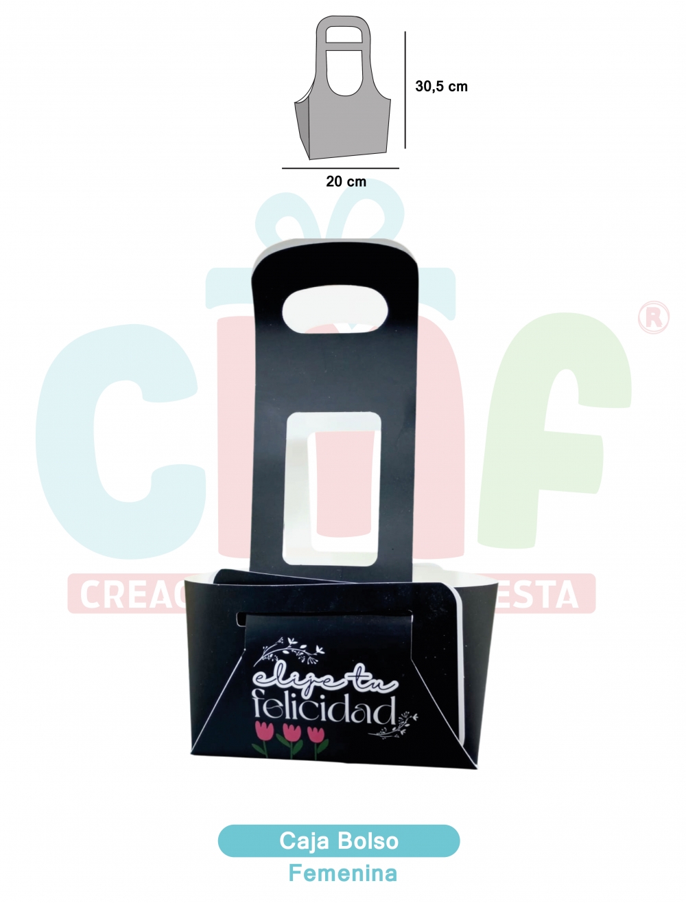 CAJA BOLSO  FEMENINA