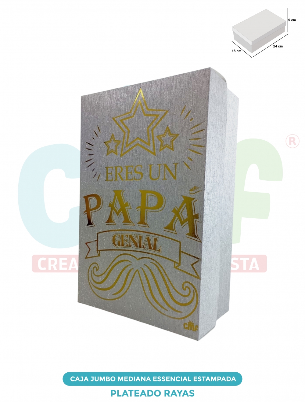 CAJA JUMBO MEDIANA ESSENCIAL ESTAMPADA  RAYAS PLATEADO