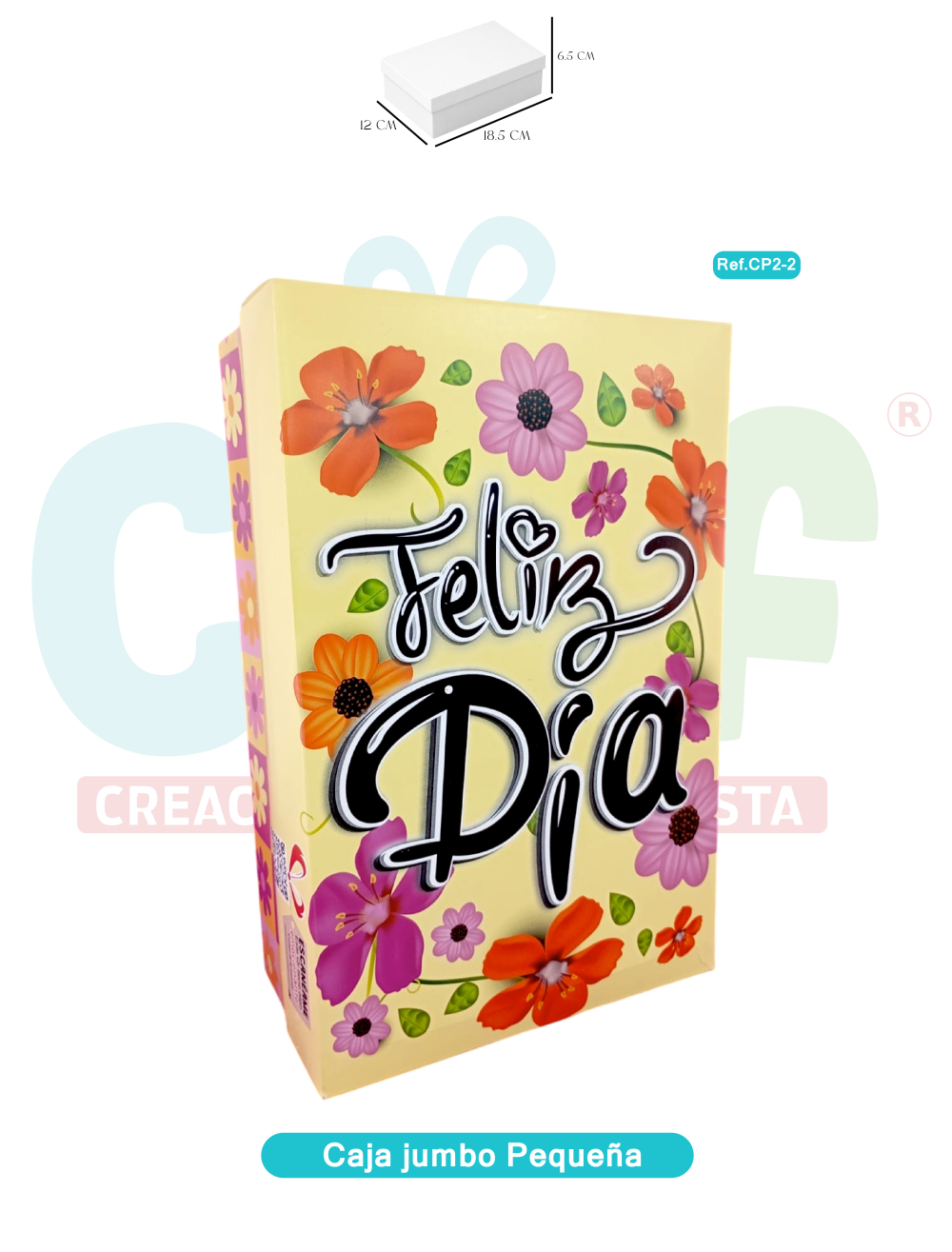 CAJA JUMBO COLOR PEQUEÑA   CP2-2