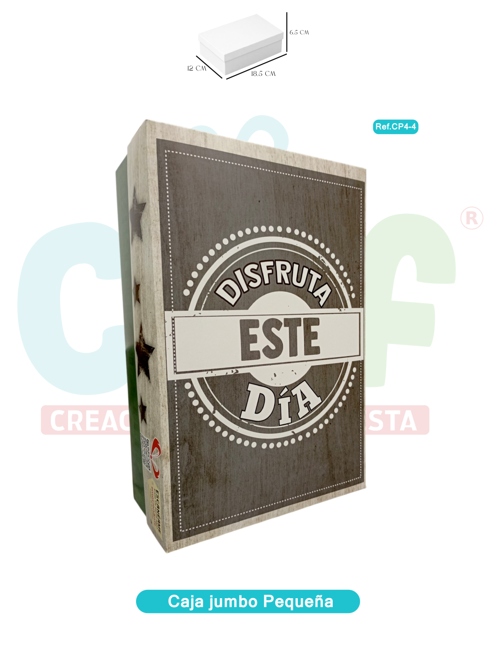 CAJA JUMBO COLOR PEQUEÑA   CP4-4