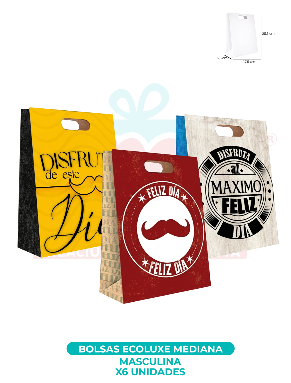 BOLSAS ECOLUXE MEDIANA X6 UNDS  MASCULINOS