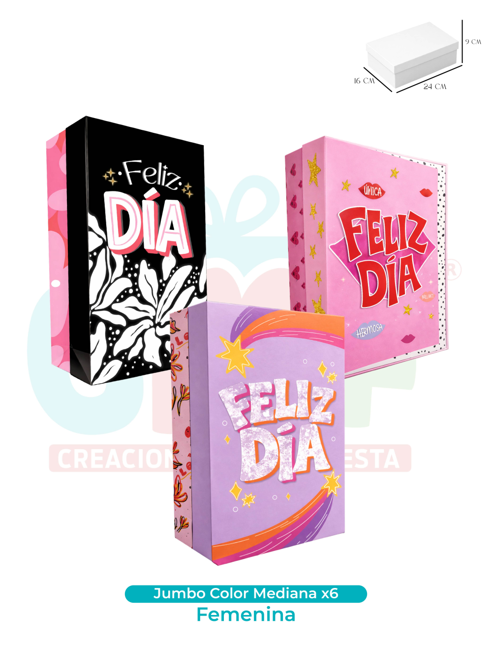 CAJA JUMBO COLOR MEDIANA X6  FEMENINA
