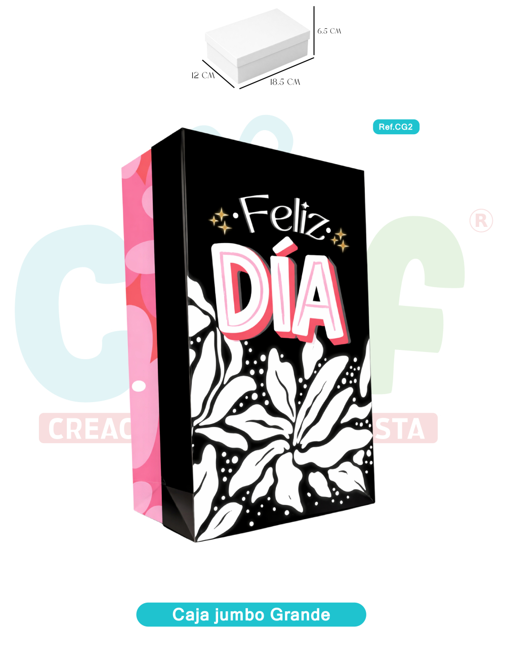 CAJA JUMBO COLOR GRANDE  CG2